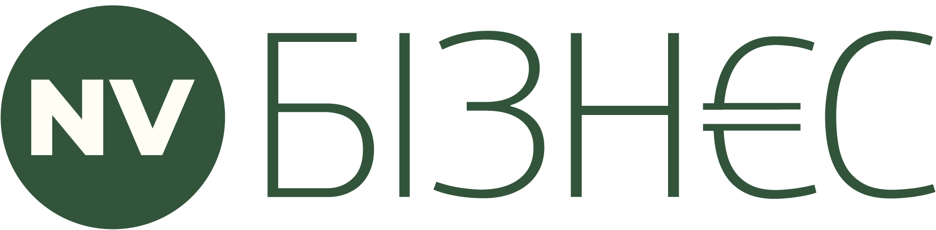 nv_logo_biz_new-01